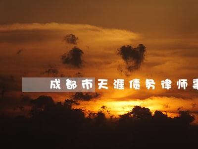 成都市天涯债务律师事务所 成都市天涯债务律师事务所