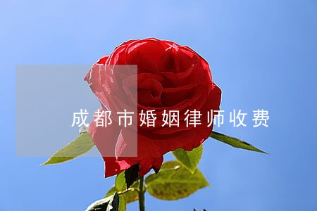 成都市婚姻律师收费 成都市婚姻律师收费