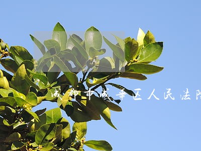 成都市成华区人民法院司法拍卖 成都市成华区人民法院司法拍卖
