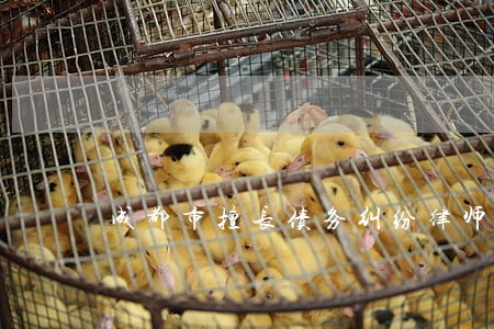 成都市擅长债务纠纷律师 成都市擅长债务纠纷律师