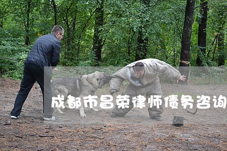 成都市昌荣律师债务咨询公司 成都市昌荣律师债务咨询公司