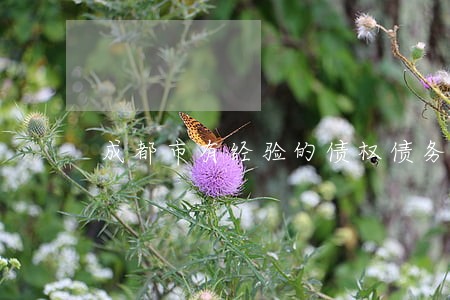 成都市有经验的债权债务律师电话 成都市有经验的债权债务律师电话