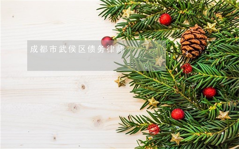成都市武侯区债务律师 成都市武侯区债务律师