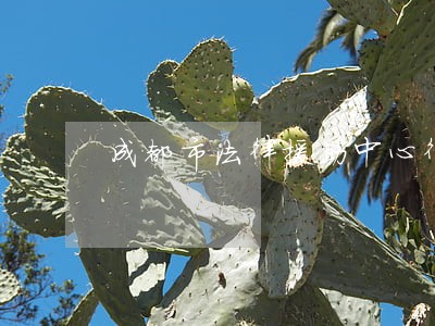 成都市法律援助中心律师 成都市法律援助中心律师