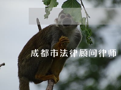 成都市法律顾问律师 成都市法律顾问律师