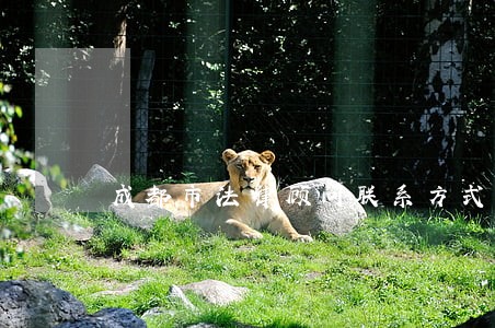 成都市法律顾问联系方式 成都市法律顾问联系方式