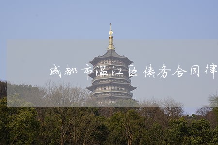 成都市温江区债务合同律师 成都市温江区债务合同律师
