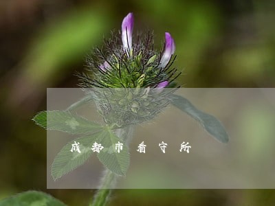 成都市看守所 成都市看守所