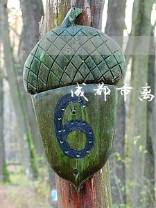 成都市离婚债务律师收费标准