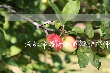 成都市经济犯罪辩护律师 成都市经济犯罪辩护律师