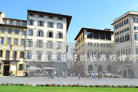 成都市较好的抚养权律师 成都市较好的抚养权律师