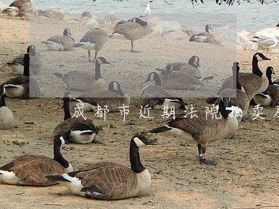 成都市近期法院拍卖房产信息网 成都市近期法院拍卖房产信息网