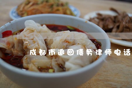 成都市追回债务律师电话咨询 成都市追回债务律师电话咨询