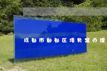 成都市郫都区债务案办理律师 成都市郫都区债务案办理律师
