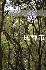 成都市金牛区律师事务所法院对面 成都市金牛区律师事务所法院对面
