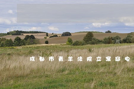 成都市青羊法院立案庭电话 成都市青羊法院立案庭电话