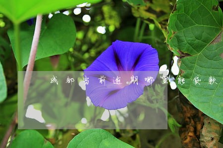 成都当前逾期哪里能贷款 成都当前逾期哪里能贷款