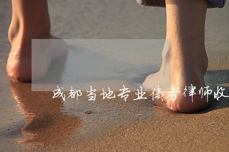成都当地专业债务律师收费 成都当地专业债务律师收费
