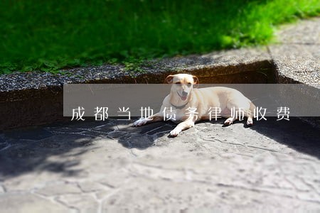 成都当地债务律师收费 成都当地债务律师收费