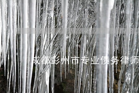 成都彭州市专业债务律师事务所 成都彭州市专业债务律师事务所