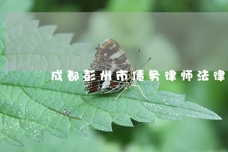 成都彭州市债务律师法律咨询 成都彭州市债务律师法律咨询