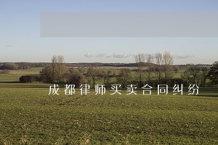 成都律师买卖合同纠纷