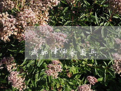 成都律师余国兵 成都律师余国兵