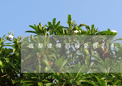 成都律师咨询免费24小时在线 成都律师咨询免费24小时在线