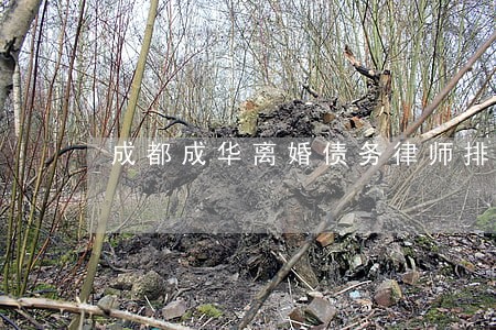 成都成华离婚债务律师排行 成都成华离婚债务律师排行