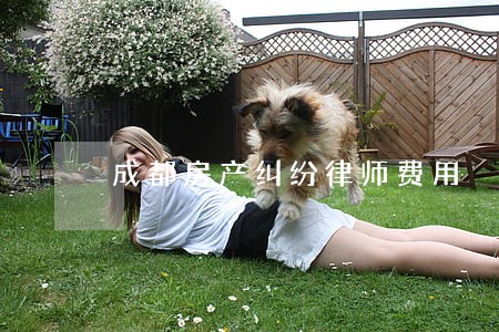 成都房产纠纷律师费用 成都房产纠纷律师费用