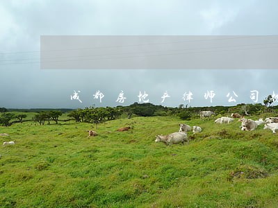 成都房地产律师公司地址 成都房地产律师公司地址