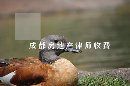成都房地产律师收费 成都房地产律师收费