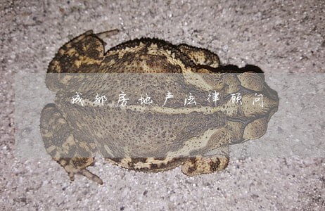 成都房地产法律顾问 成都房地产法律顾问