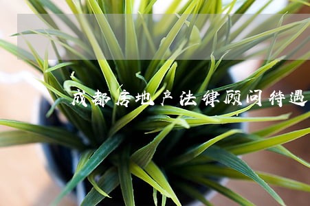 成都房地产法律顾问待遇 成都房地产法律顾问待遇