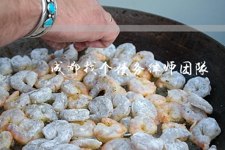 成都找个债务律师团队 成都找个债务律师团队