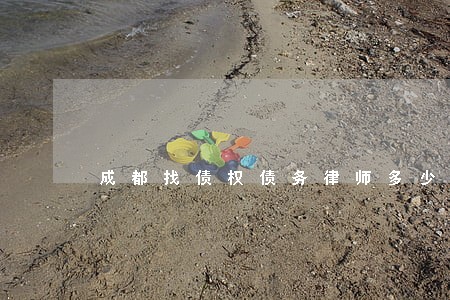 成都找债权债务律师多少钱