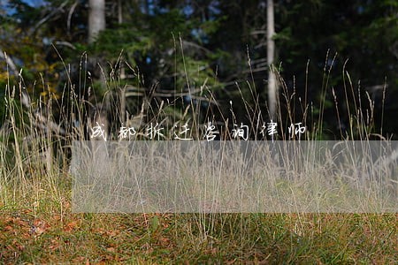 成都拆迁咨询律师 成都拆迁咨询律师