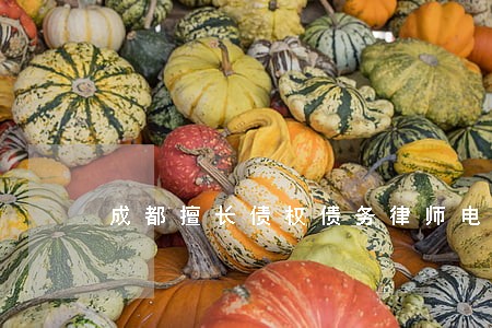 成都擅长债权债务律师电话咨询 成都擅长债权债务律师电话咨询