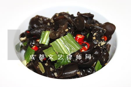 成都文艺律师网 成都文艺律师网