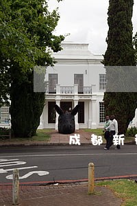 成都新都专业律师咨询