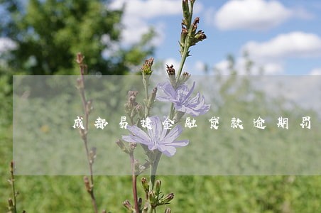 成都易捷金融贷款逾期罚息
