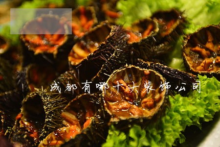 成都有哪十大装饰公司 成都有哪十大装饰公司