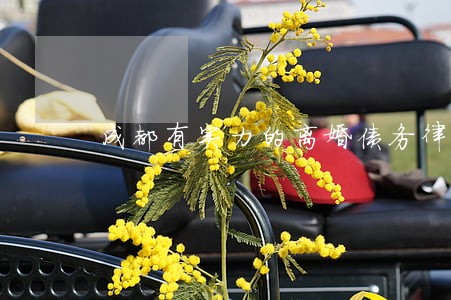 成都有实力的离婚债务律师多少钱 成都有实力的离婚债务律师多少钱