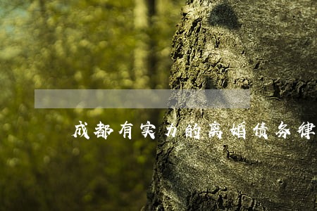 成都有实力的离婚债务律师排名 成都有实力的离婚债务律师排名