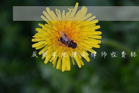 成都本地债务律师收费标准 成都本地债务律师收费标准