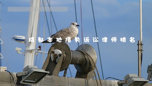 成都本地债务诉讼律师排名 成都本地债务诉讼律师排名