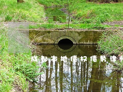 成都本地债权债务律师 成都本地债权债务律师