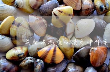 成都本地债权债务律师案件执行 成都本地债权债务律师案件执行