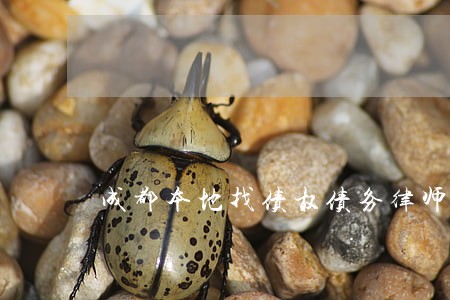成都本地找债权债务律师咨询 成都本地找债权债务律师咨询