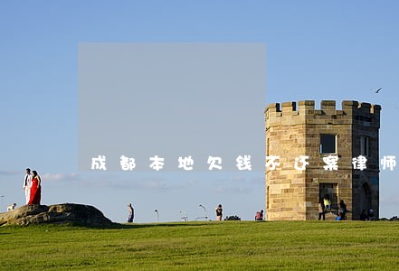 成都本地欠钱不还案律师费用 成都本地欠钱不还案律师费用
